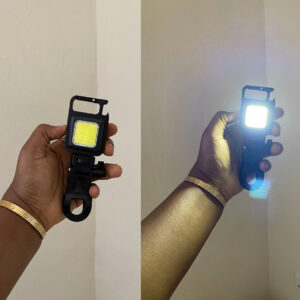 Keychain light plus phone clip